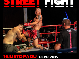 Vstupenky Street Fight 08